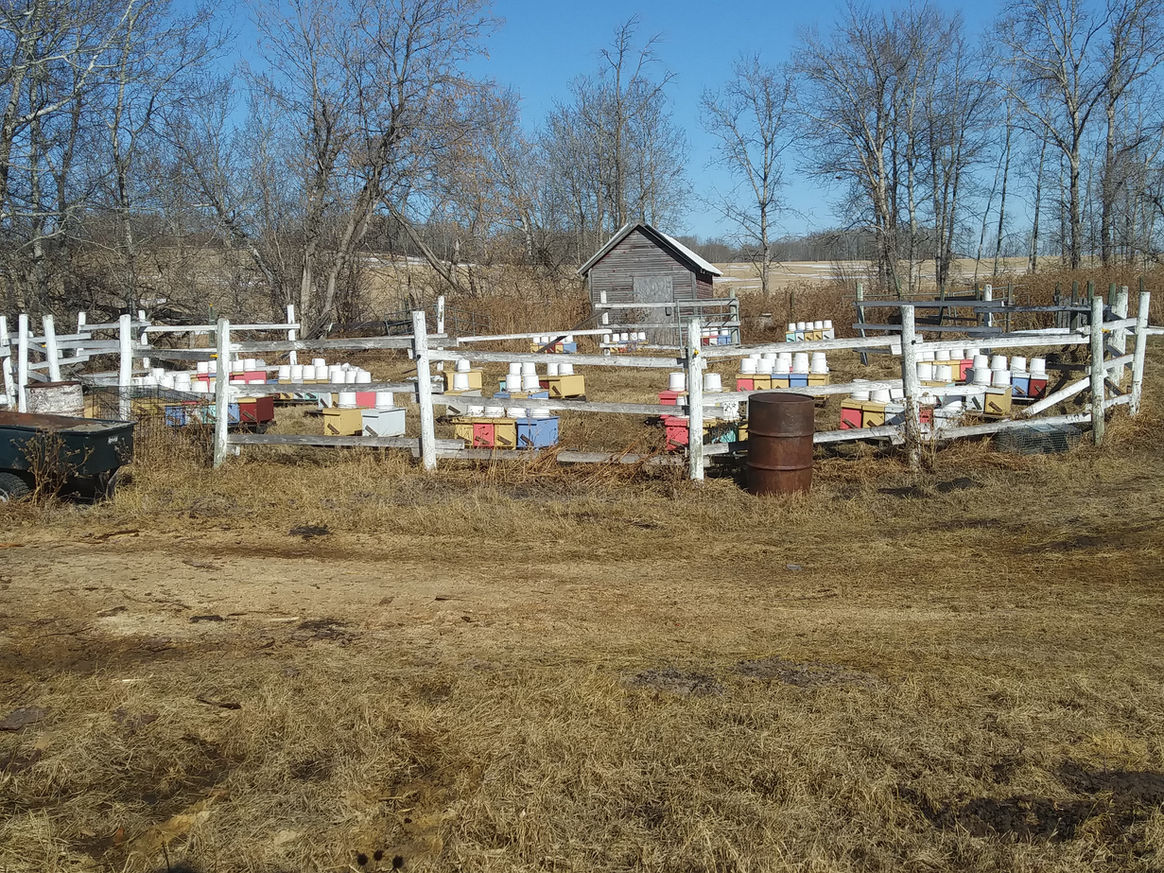 2021 Season photo 23